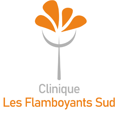 Logo Clinique Les Flamboyants Sud